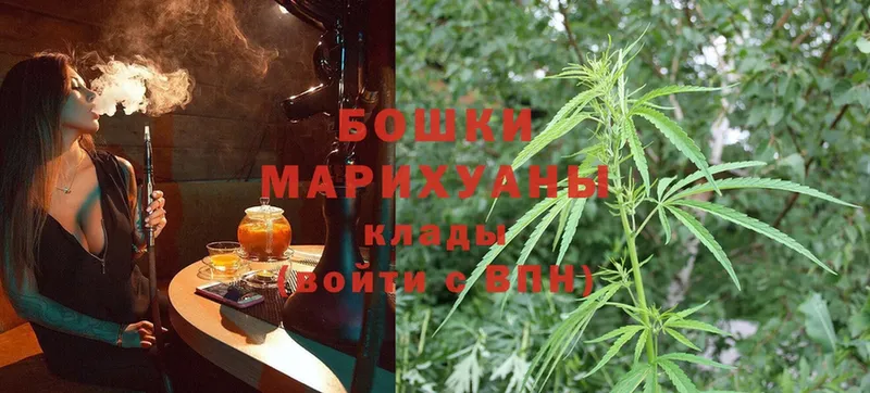 МАРИХУАНА конопля  Почеп 